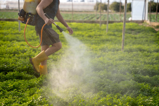 Best Local Pest Control Services  in Kings Park, NY