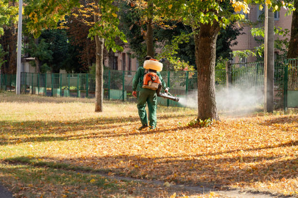 Best Mosquito Control Services  in Kings Park, NY