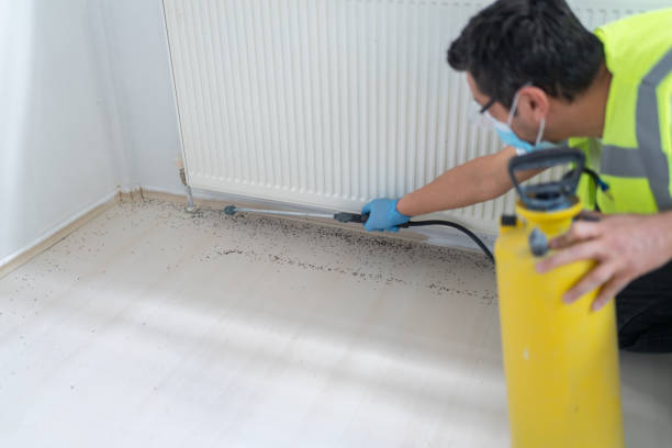 Best Pest Control for Businesses  in Kings Park, NY