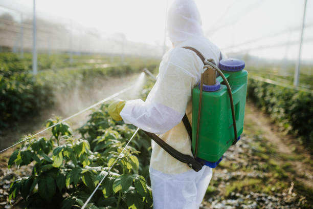 Best Pest Removal Services  in Kings Park, NY